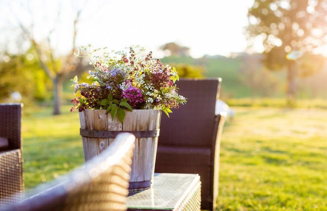 Cottage Violapo 2 2 - Foto 10