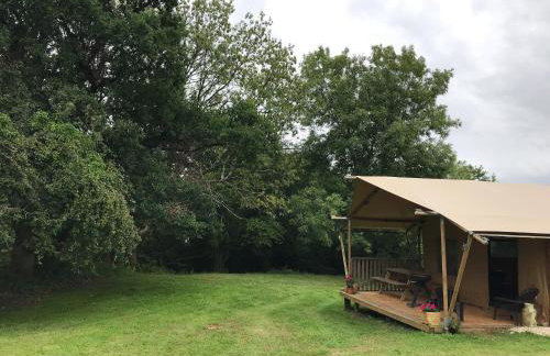 Tent 1 Deerland - Ukc4716 - Foto 18