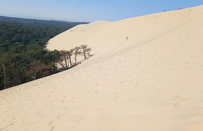 Excursión a Arcachón y Duna de Pilat + Degustación de ostras - Foto 6