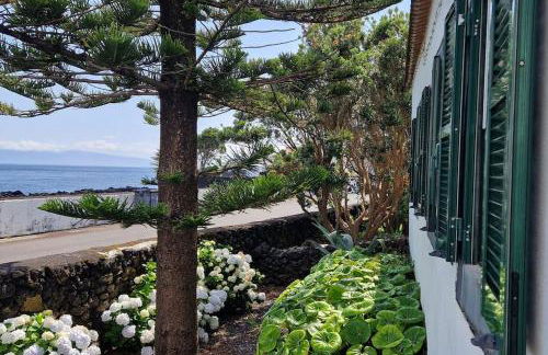 Terra`s Place - Photo 8