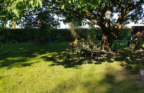 Mühlenblick - Foto 16