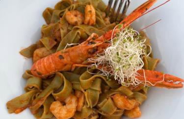 BUQEZ ECO RESORT - Beach Villas 2 and 8 - Seaview, new wifi! - Photo 70