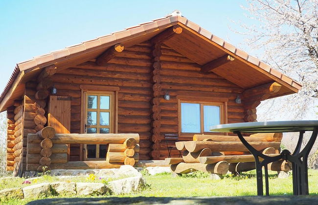 Mas Cal Sastre - Photo 71