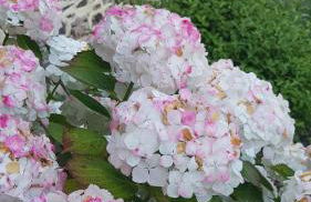 Gîte Esprit Mer - Foto 17