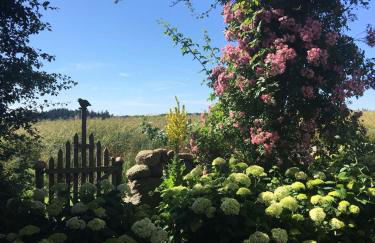 Hof Rabenstein Ostsee bei Kühlungsborn - Foto 29