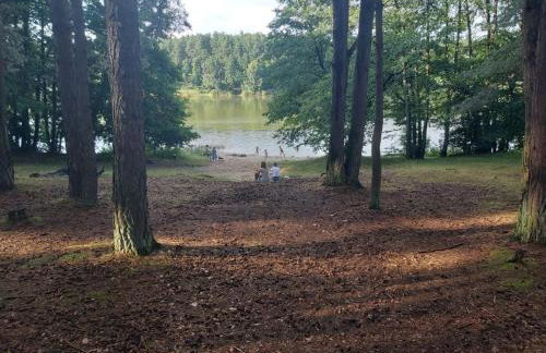 Tuczno Dom w lesie - Foto 41