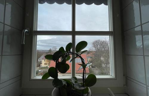 Kulturgenuss am Goethewanderweg - Foto 15