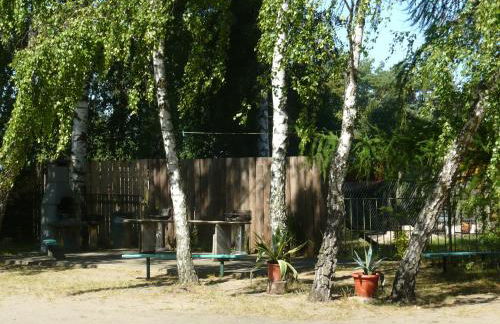 Große Wohnung - Foto 6