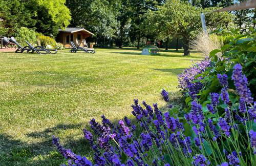 Ferienwohnung Ost - Foto 12