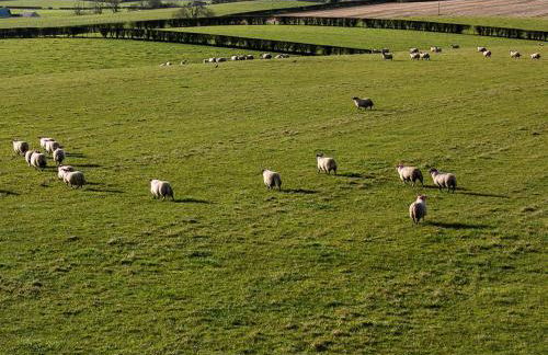 Wheatfield House - Foto 35