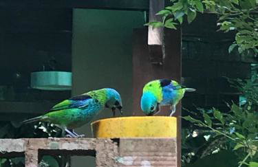 Itamambuca casas,suítes - Foto 15