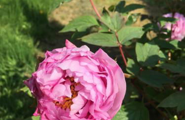 Moulin De Coupigny - Foto 16