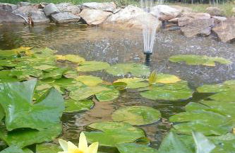 Apartment Basanija 7149b - Foto 12