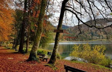 CHALET COSY A LA MONTAGNE AVEC SAUNA TONNEAU situé à St Laurent en Grandvaux - Proche lacs cascades et pistes de ski - Foto 23