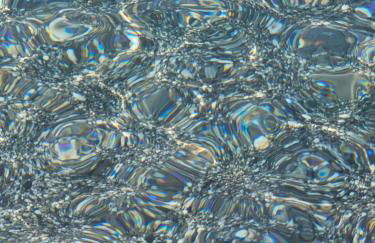 Naturoasi Resort - Photo 30