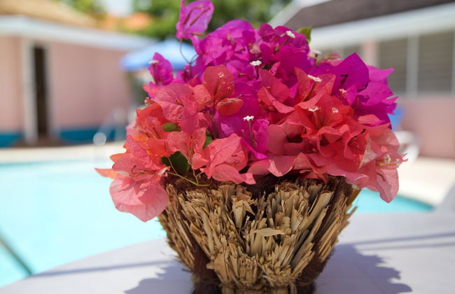 Windjammer, 4BR by Jamaican Treasures - Photo 29