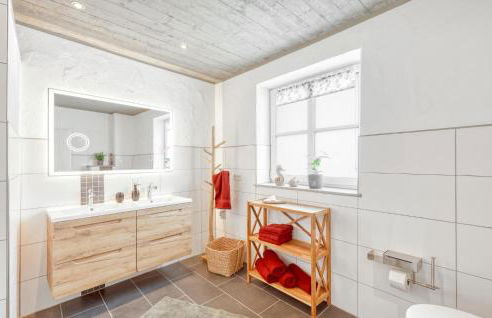 Admiral Vanessa - Foto 31