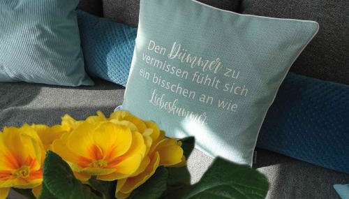 Dümmernest - Foto 5