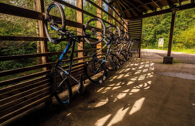 Happy Days Afan Forest - Foto 53