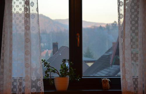 Dom Puchacza w Lądku-Zdroju - Foto 60