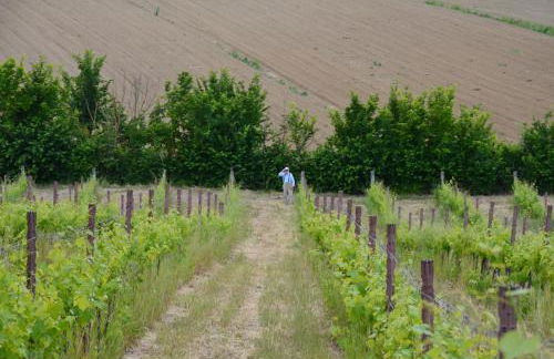 Agriturismo Sant'Alfredo - Foto 63