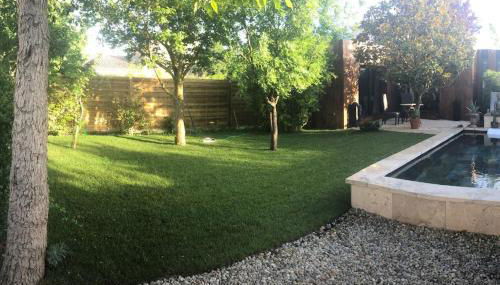 A lombre du magnolia - Photo 5