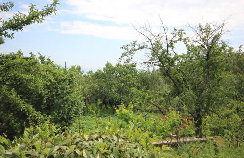 Holiday house with a swimming pool Zagore, Opatija - 7922 - Foto 35