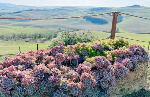 Poggiosalto in Toscana - Foto 11