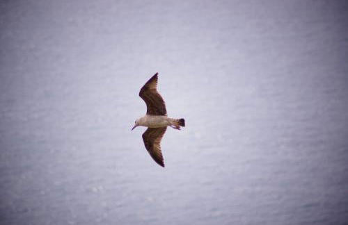 TOTAL SEA VIEW ll Grimaldi Menton - Foto 72