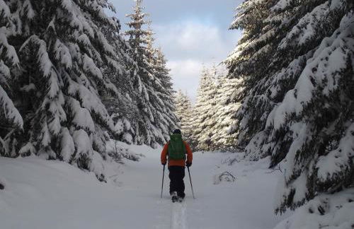 Gîte au calme pleine nature près d'un ruisseau - Foto 33