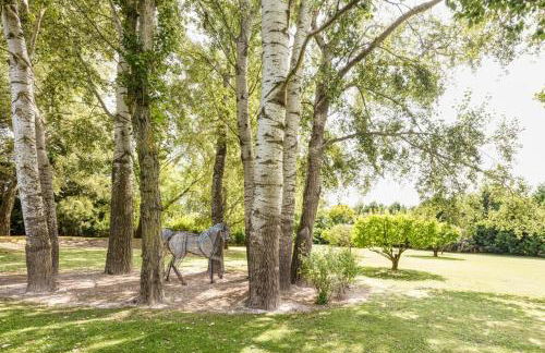 Beautiful Provencal Mas with swimming pool - Foto 12