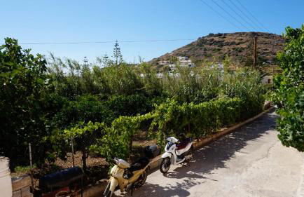 SOULA ROOMS - Photo 33