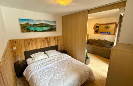 La foux d allos Superbe appartement 6 couchages ,piscine - Foto 3