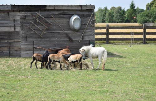 Leśny Zakątek Uroczysko -Apartamenty Nowoczesnej Stodoły - Foto 34