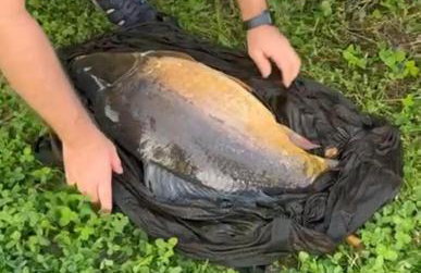 Przystanek Kistówko komfortowe domki z jacuzzi, staw wędkarski, kominek, las, przestrzeń - Foto 67