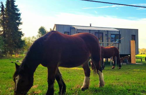 NEU Luxuriöses Tinyhaus Ferienhaus FREYR einmalig in Lübbenau - Foto 25