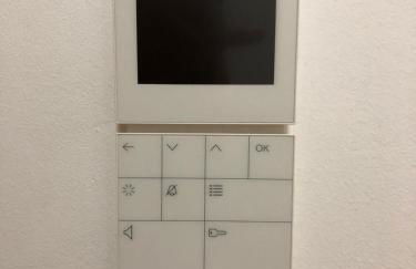 Sahara Falcon - Photo 102