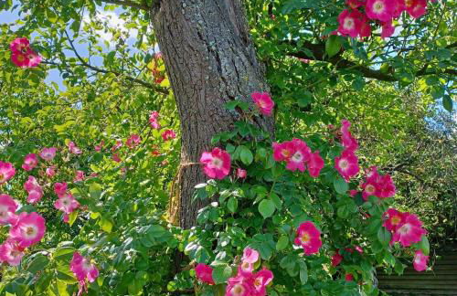 Ferienwohnung Stadt-Land-Fluss - Foto 68