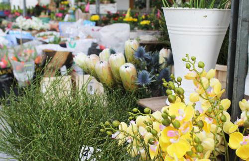 reoh I Maisonette am See I Malerischer Ausblick I Beamer I Berlin in 30min - Foto 47