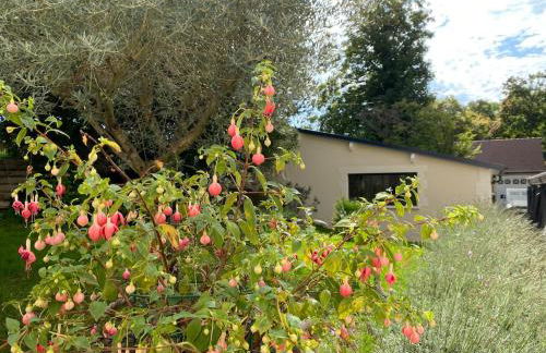 Studio Cosy dans les granges d un château accès spa - Foto 39