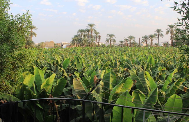 Adam Apartments - Foto 58