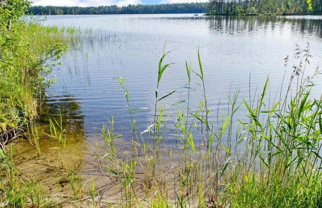 Kolin helmi 2 - Foto 23