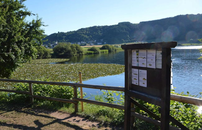 Cosy Apartment With Terrace in Meisburg - Photo 44