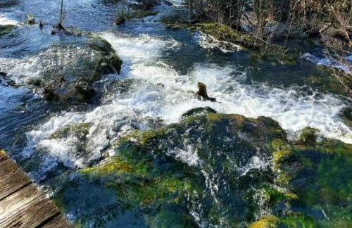 Kaja House Apartments - Foto 28