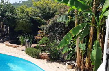 Gîte cévenol avec SPA et Piscine privatifs - Foto 32