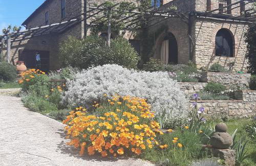 PERGOLA at Le Pietraie a cottage with many flowers - Foto 23
