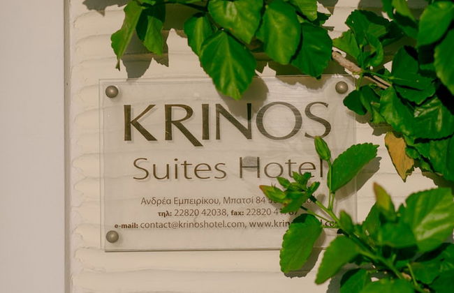 Krinos Suites Hotel - Photo 52