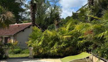 Les palmiers de Valence - Foto 1