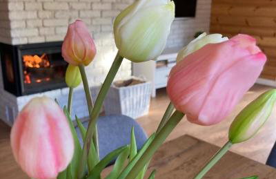 Domek Nalesie - Foto 20