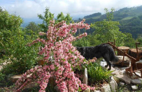 Agriturismo La Casa Nei Boschi - Foto 57